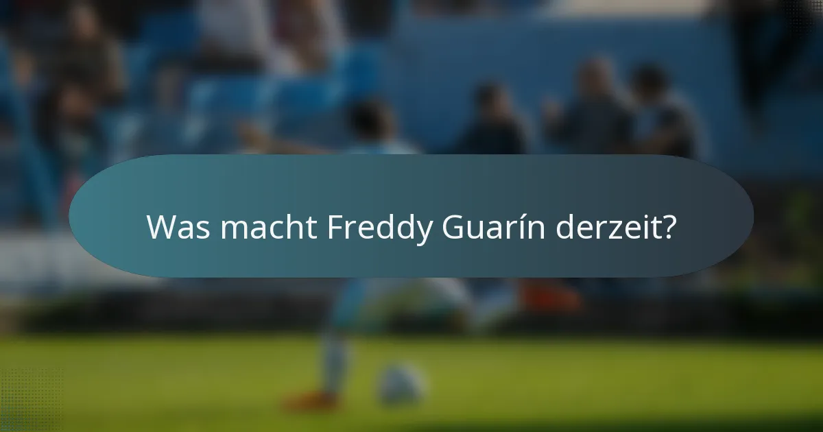 Was macht Freddy Guarín derzeit?